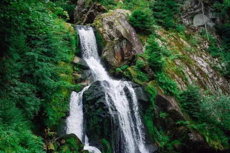 出上：春风不语花含笑，
对下：夏瀑高歌树细听。