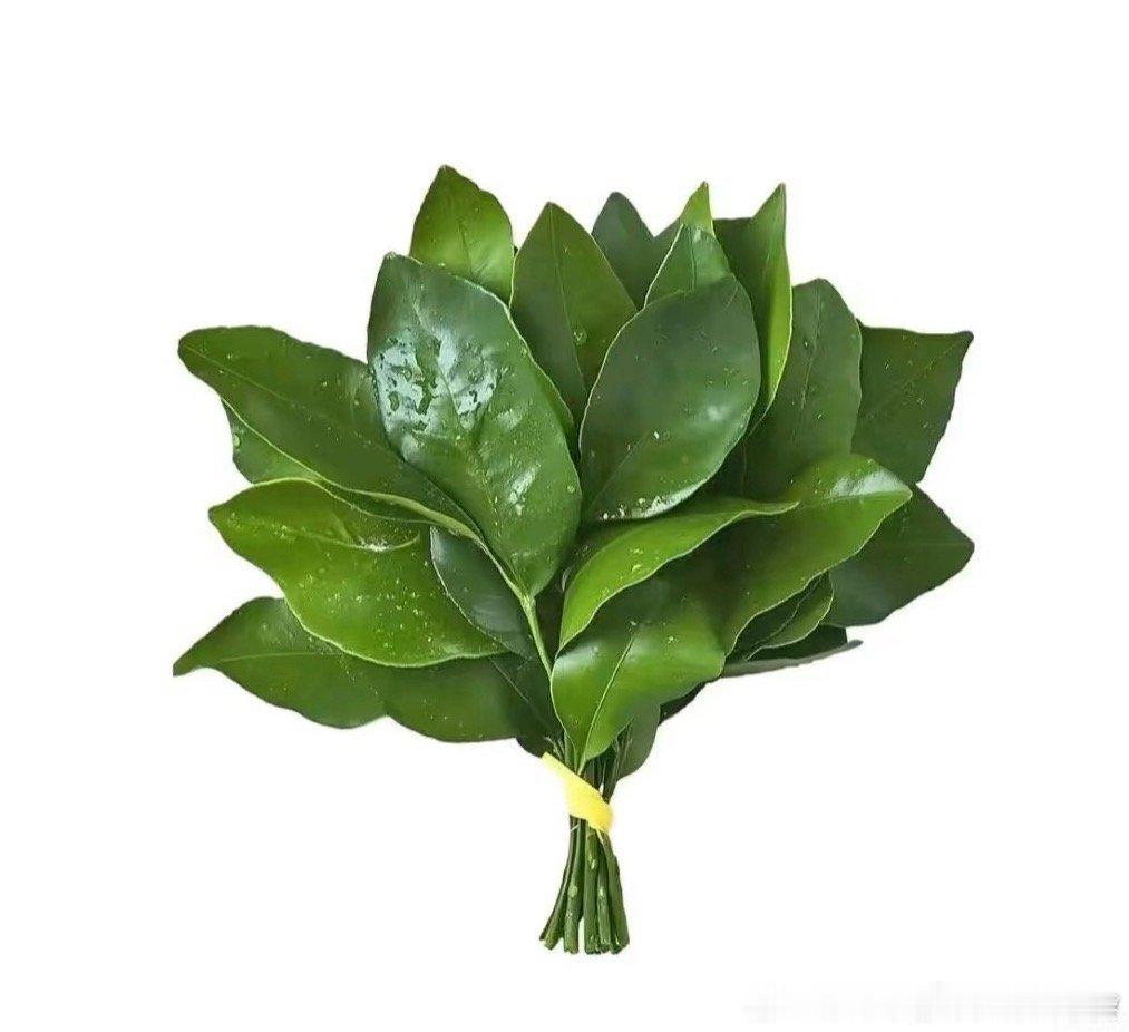 王玉雯方停止突然的喜欢一切宣传工作这工作室挺好的，维护艺人很少见的 