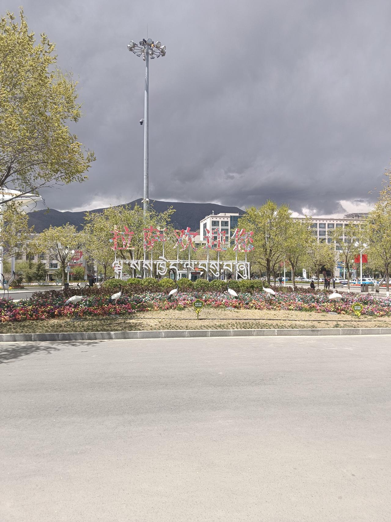 我来到这离天最近的地方会高反吗