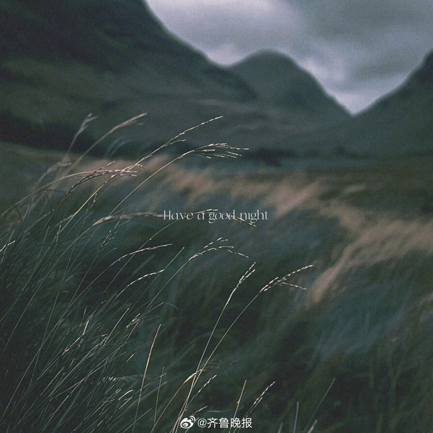 照亮你的那束光迟早会来 或早或晚#四月最后一天# #晚安#