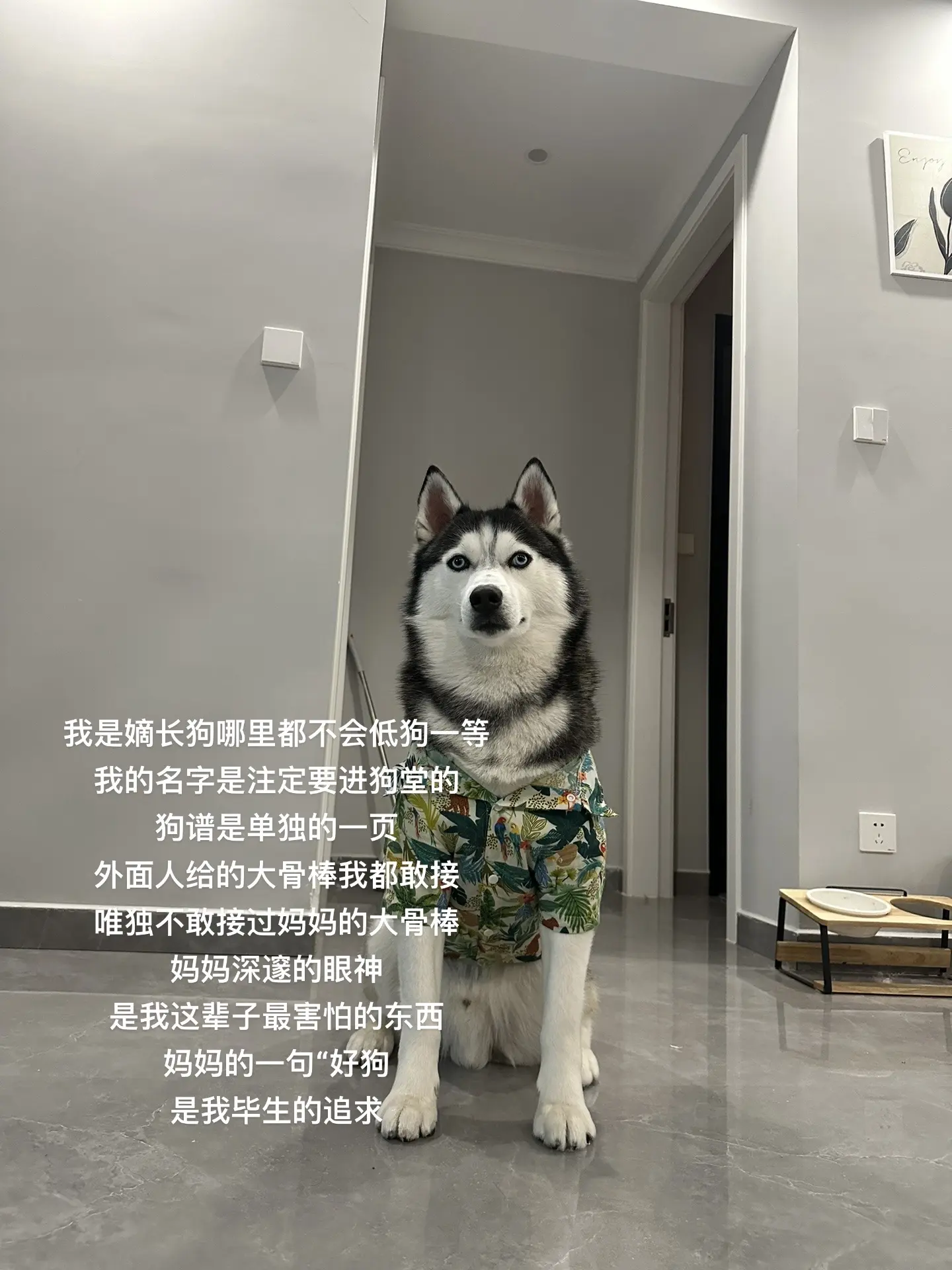 看下你家的嫡长子