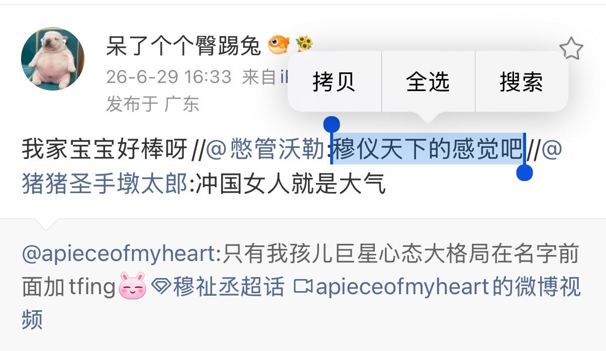 我对着穆仪天下狂笑 