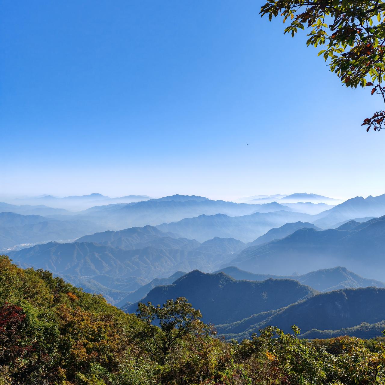 记不清楚了，好像有一段歌词是这样的，“让我们停下脚步，还世界一点颜色”。
让我很