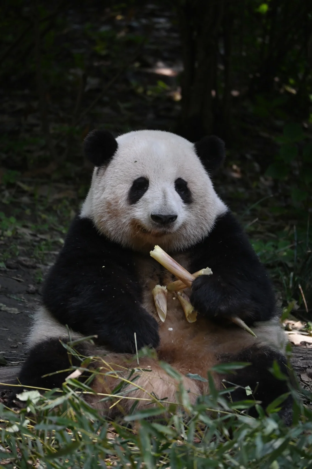拍了太多美照，都不知道发哪张了