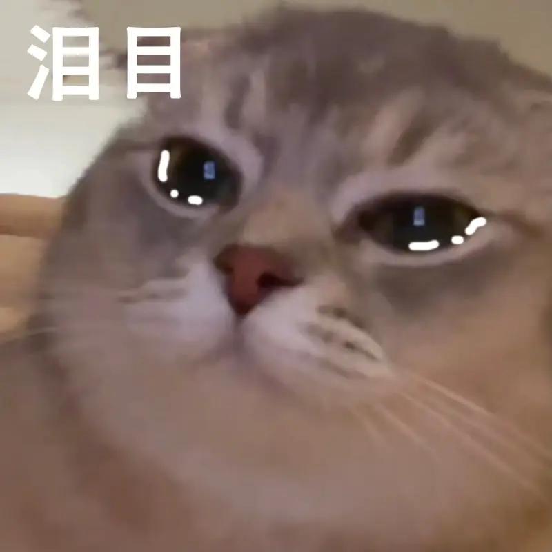 本该无忧无虑的年纪却成了家里的顶梁柱[赞][赞][赞]