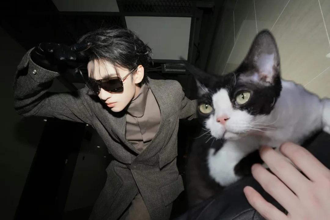 中国人能飞
猫老大带着猫民们一起飞严浩翔