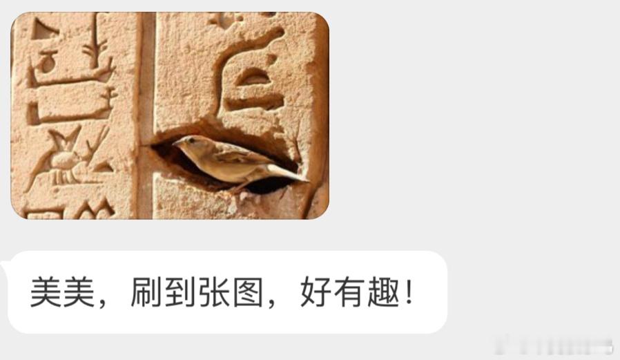 小鸟也认字！ ​​​