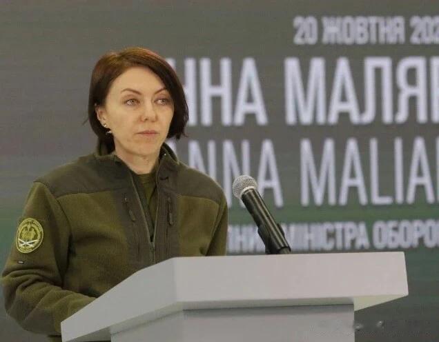 包括玛利亚尔在内的数名乌克兰国防部副部长被解职。之前，新任国防部长乌默罗夫要求他