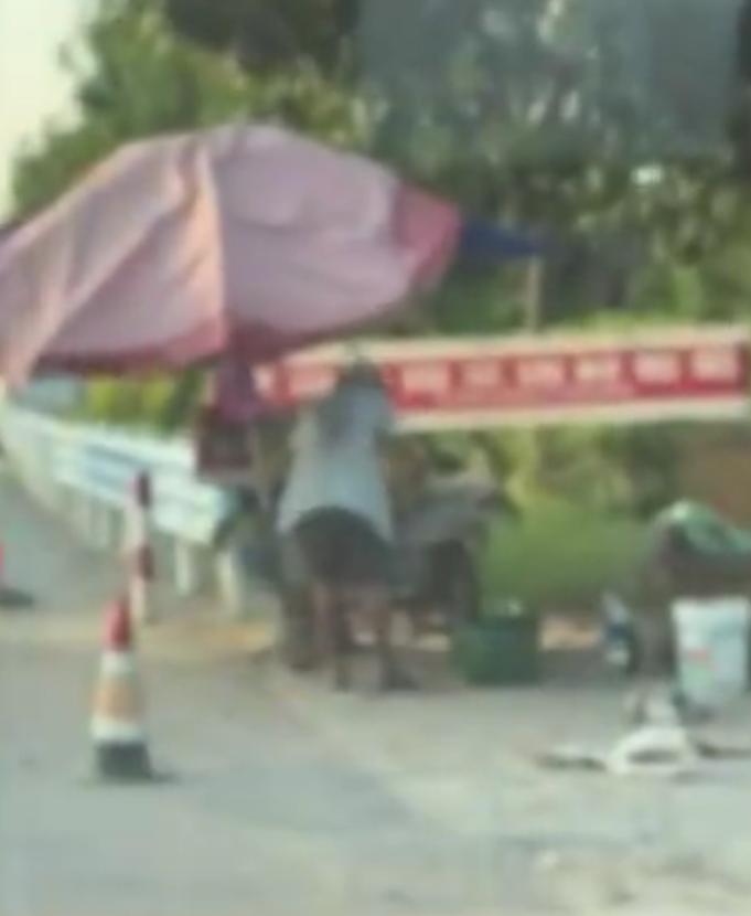 【：称也不准，很无语】7月23日，河南郑州。康先生为照顾老人生意买葡萄时被老人塞