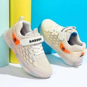 世间的浮沉与阳光