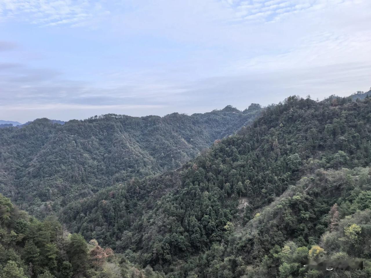 五律.重读《五古.挽易昌陶》有感
（2024年10月6日）
故人驾鹤西天去，遗韵