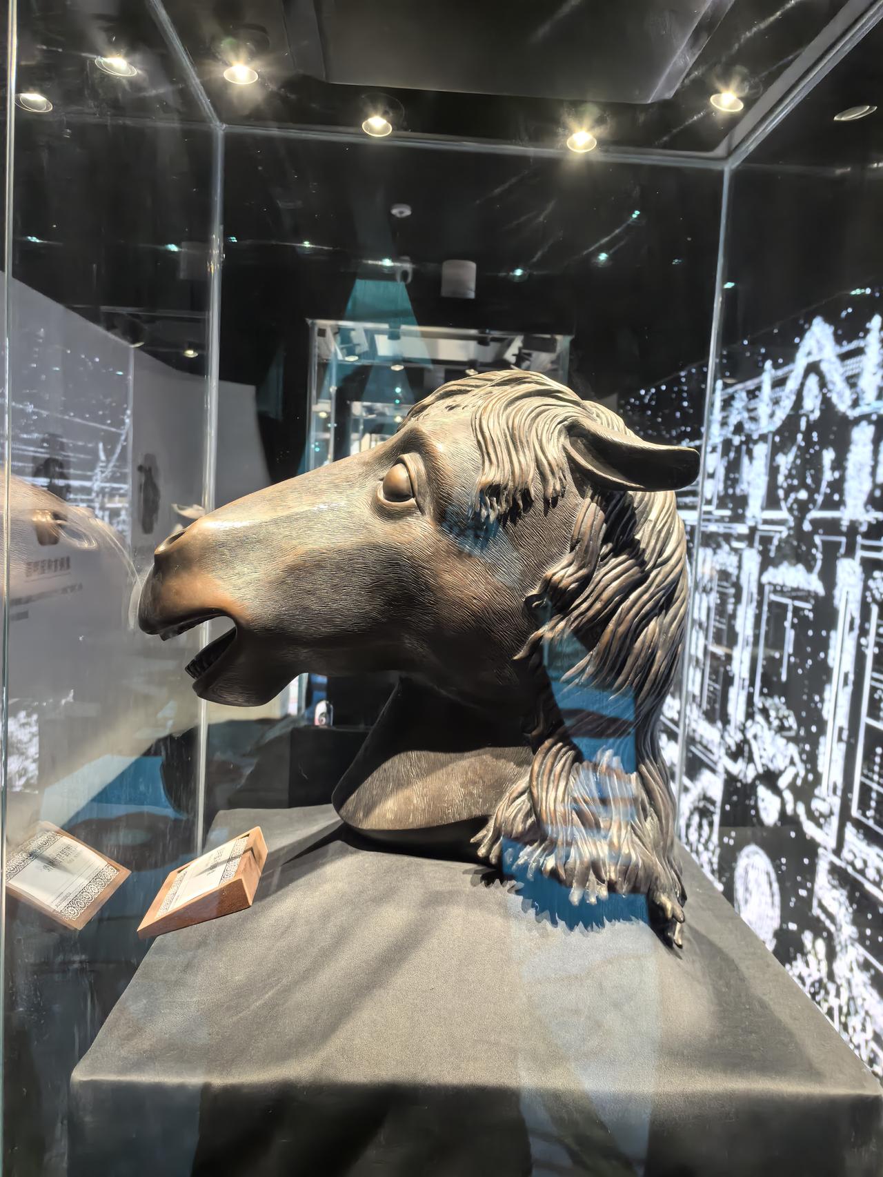 《生活中的运动现象》单元教学设计（三年级）
 
本单元聚焦“轴对称、平移、旋转”