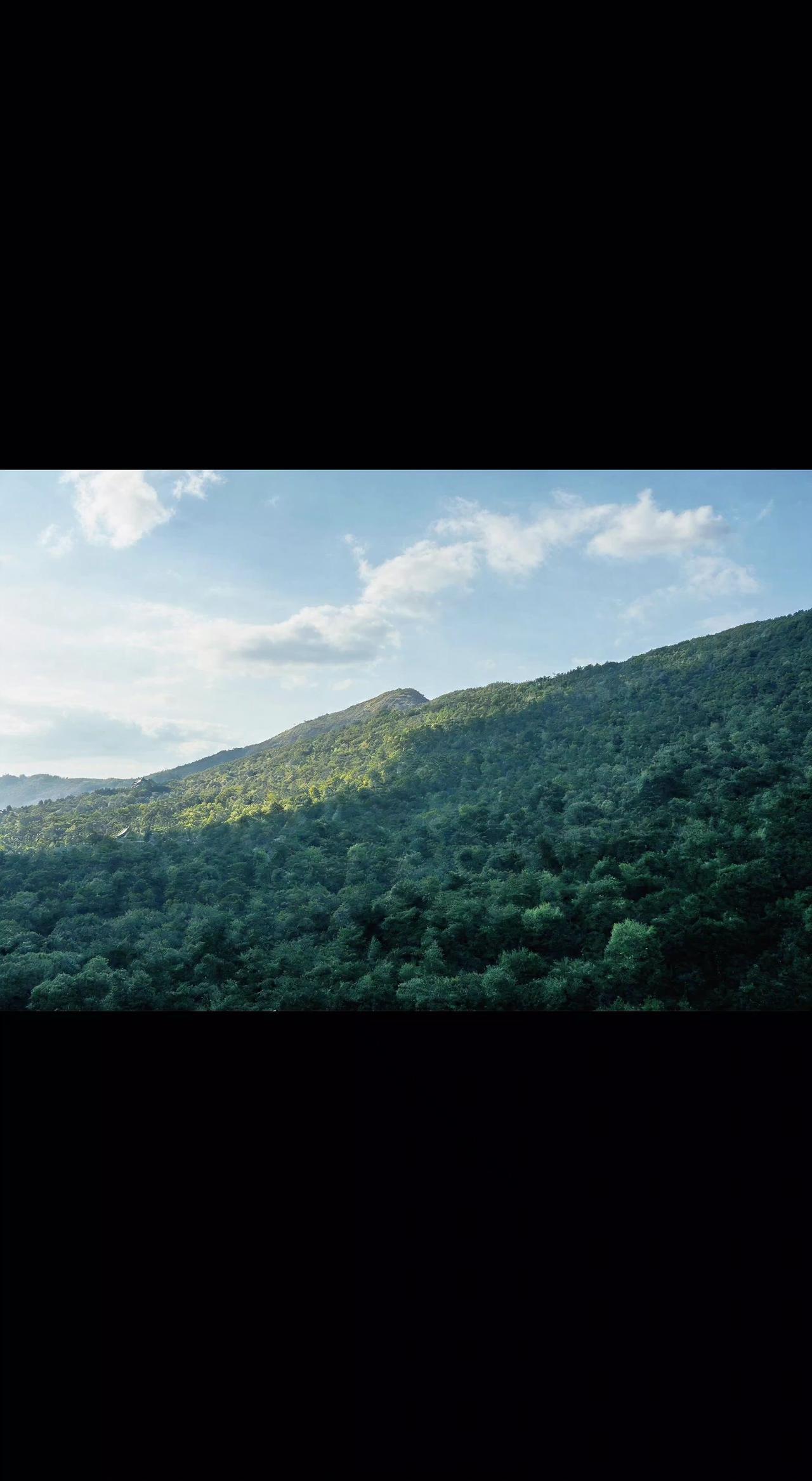 🌿山风把云揉碎了撒在绿毯上☁️ 光影在叶尖跳圆舞曲💃 心忽然就空出半亩田种诗