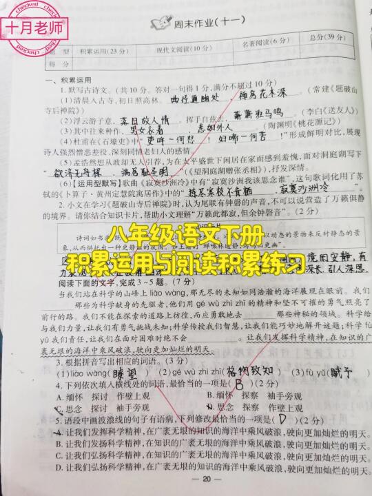 八年级语文下册积累与阅读期末冲刺练习题