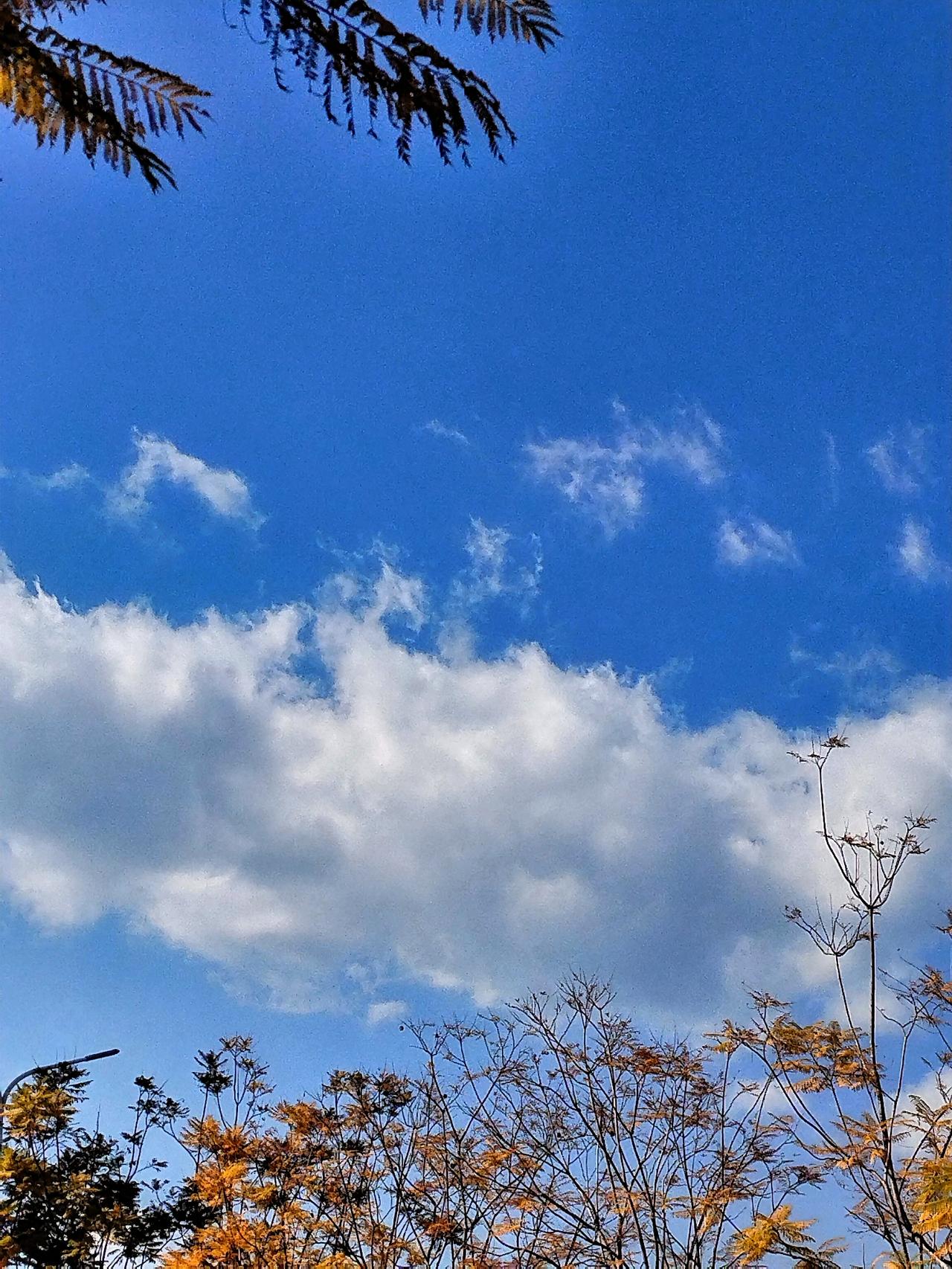 我停下脚步，仰望着这美丽的天空，冬日的阳光洒在身上，竟也有了几分暖意。周围行人来