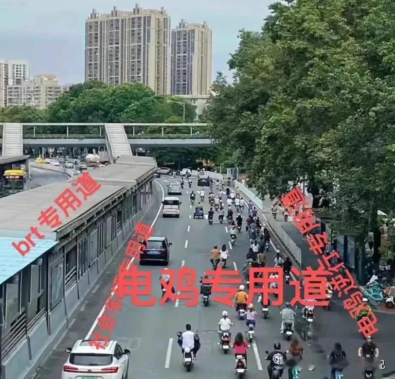 广州的电驴估计是全国最多的，本来电驴对于市民短距离的通勤是非常好交通工具，特别是