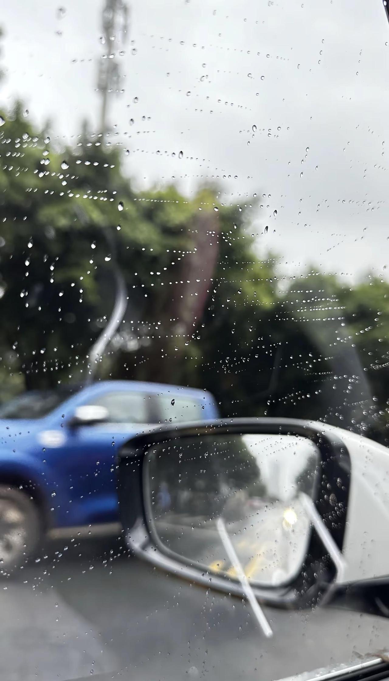 比起大夏天热得跟蒸笼似的，我宁可天天这么下雨，19度的赣州凉飕飕的多舒服赣州 天