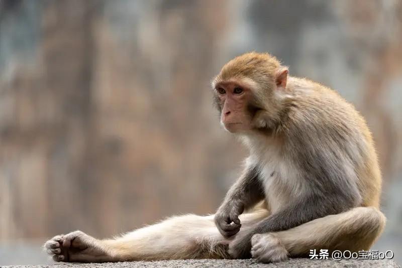 山水为邻无俗事、
相隔遥相悠惊鸿、
格栅和木雨中情.
烽云散尽云海谰、
万水千山