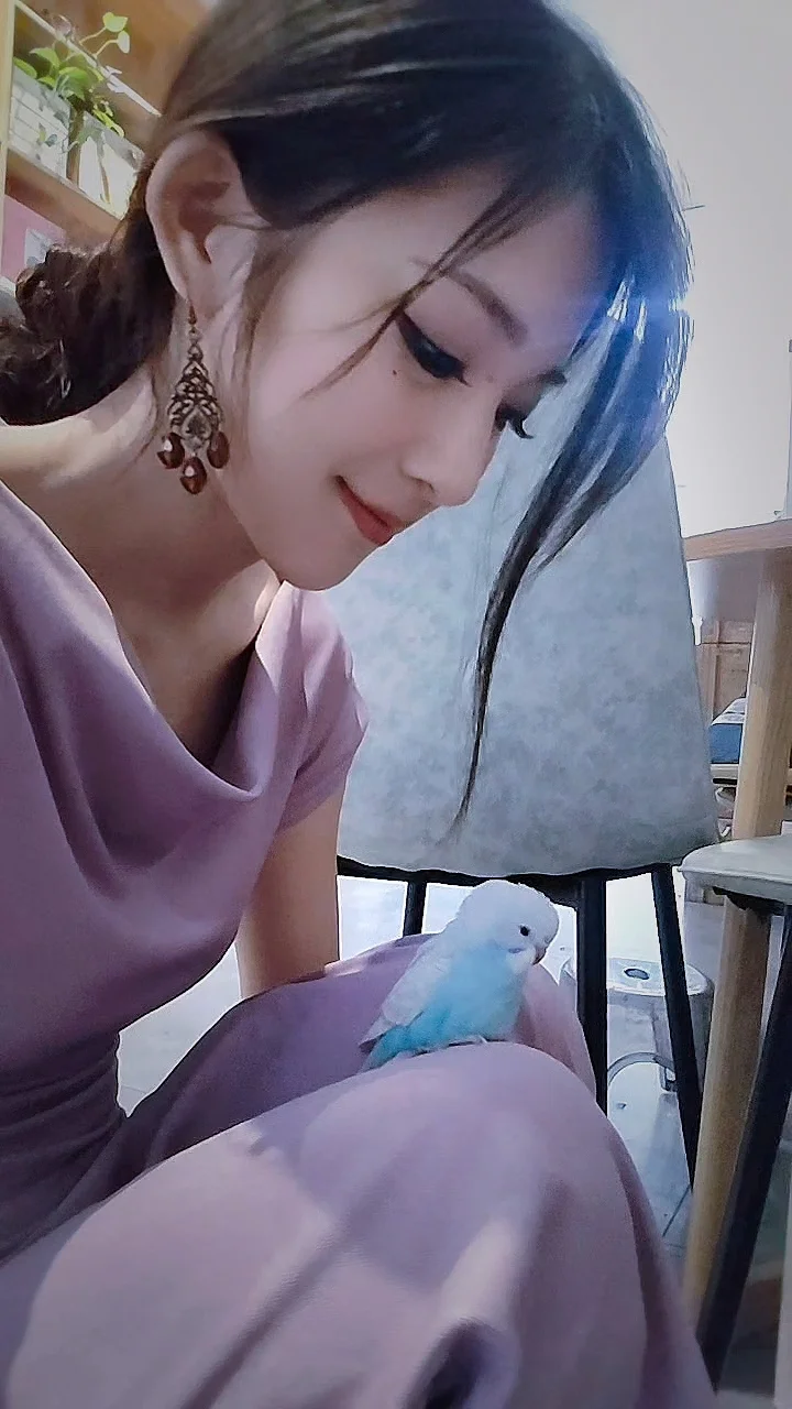 打瞌睡的小蓝