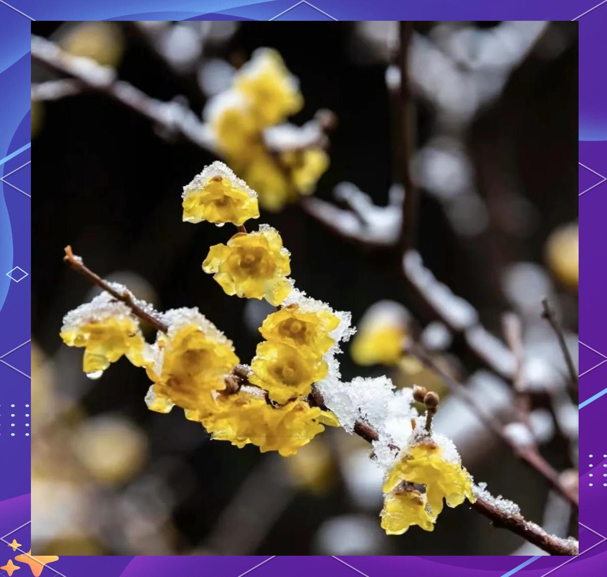 喜欢和爱，差的是一辈子的心意
 
你分得清喜欢和爱吗？一句话戳破真相：喜欢是心动