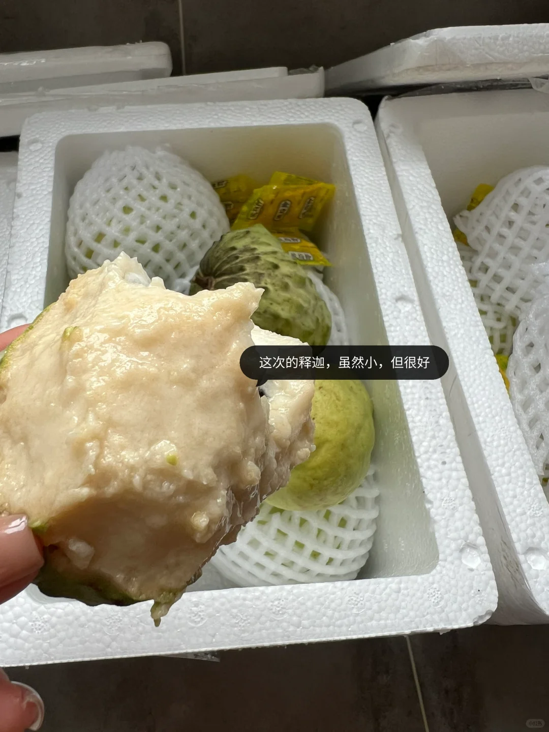 运动第五年，玫瑰到了花期~