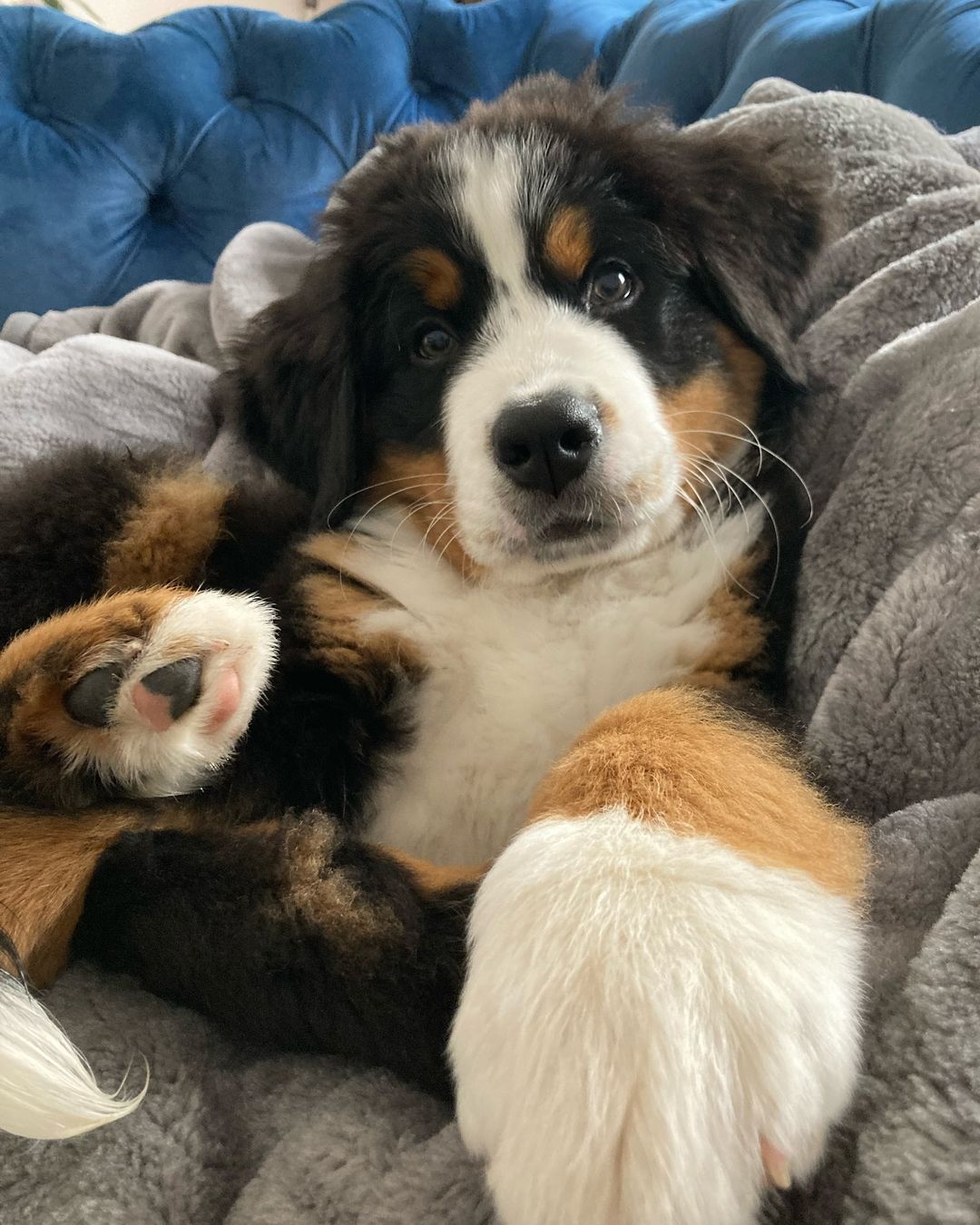 人，亲吻我的jio 