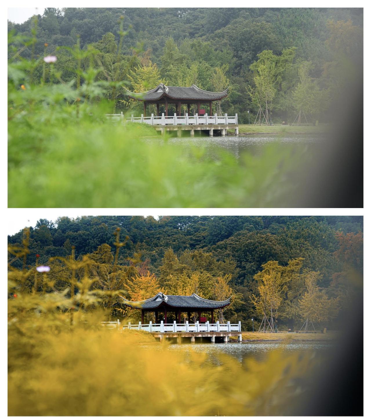 🍁随州秋日骑行徒步攻略｜闯入156公里