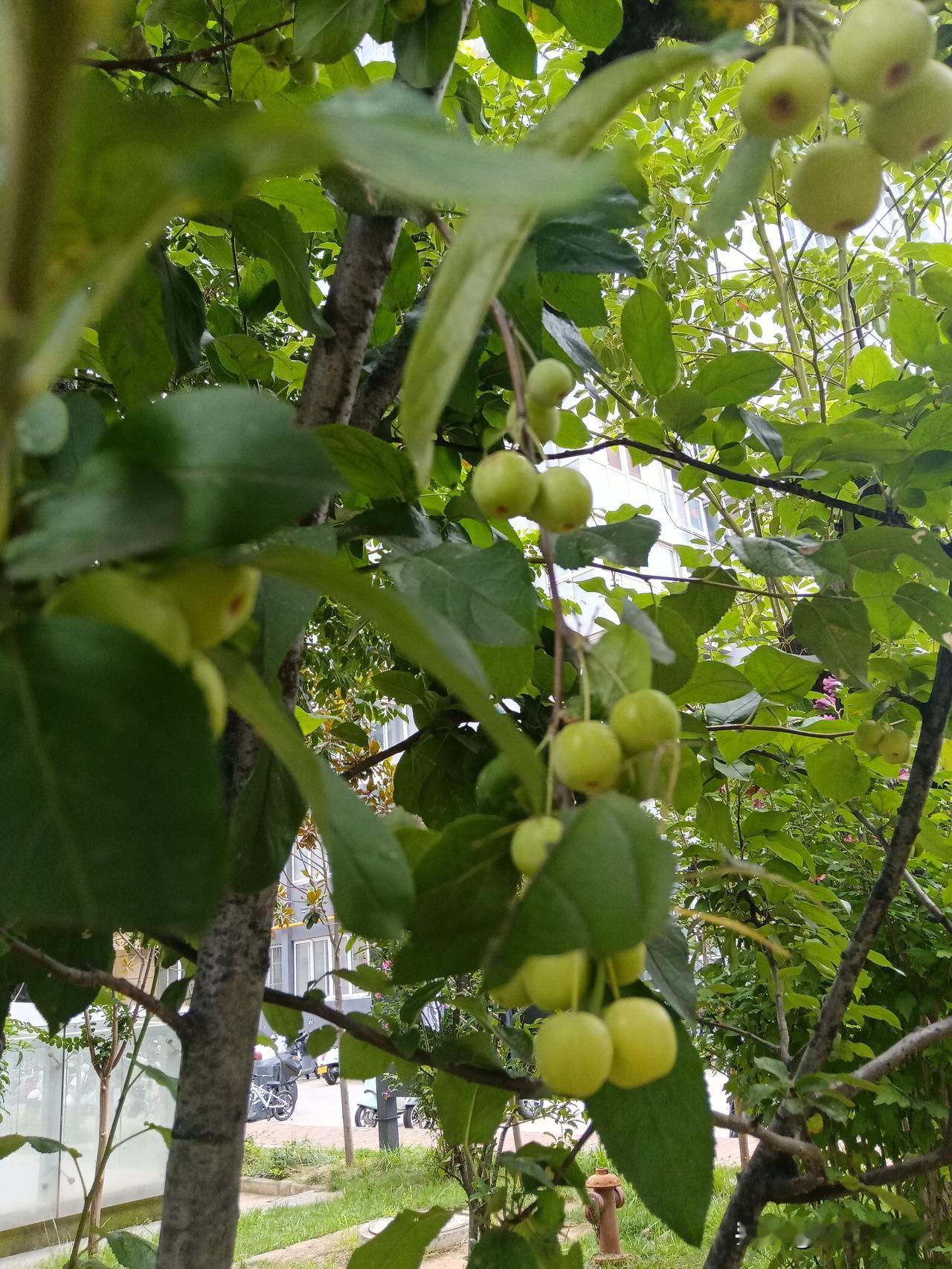 再也不期待了！

周末真平静，像这样多好。不用在股市里天天受折磨了。

以前总是