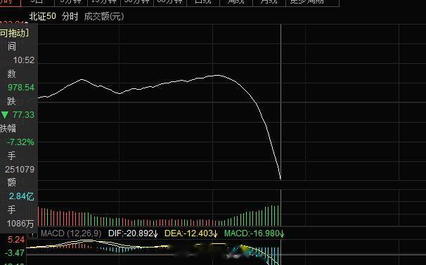 北证50指数快速跳水跌超5%，此前一度涨超2%，北交所个股盘中走弱，阿维特、舜禹