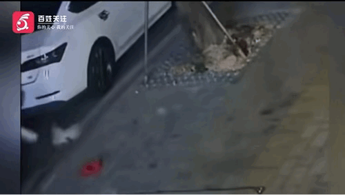 不忍直视，太残忍了。广东汕尾。夜里10点半左右，一名身穿白色卫衣的男子连续两次重