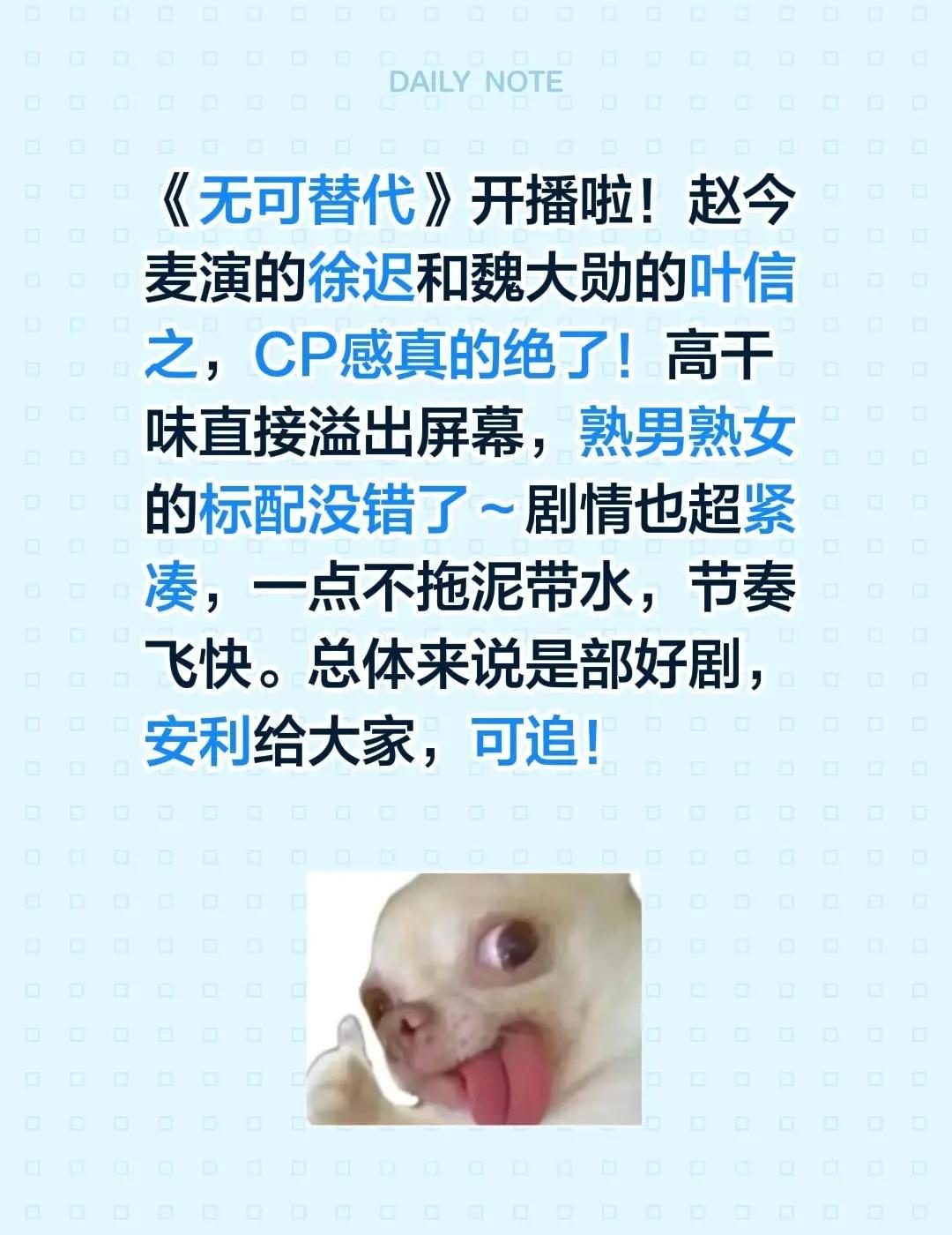 《无可替代》开播啦！赵今麦演的徐迟和魏大勋的叶信之，CP感真的绝了！高干味直接溢