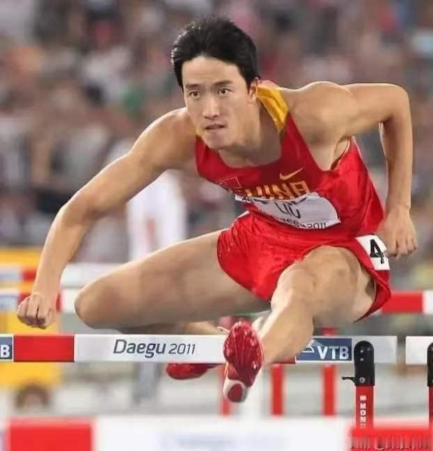 我开始怀疑，
43岁的刘翔在网上发文求助，
并不是因为真的对两个选择难以抉择，而
