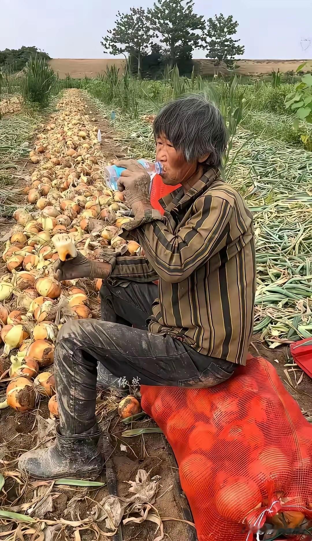 农忙时，农民真实模样。