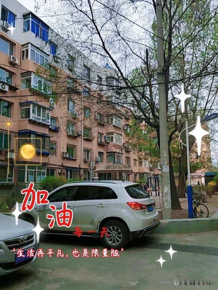 春日生活打卡季