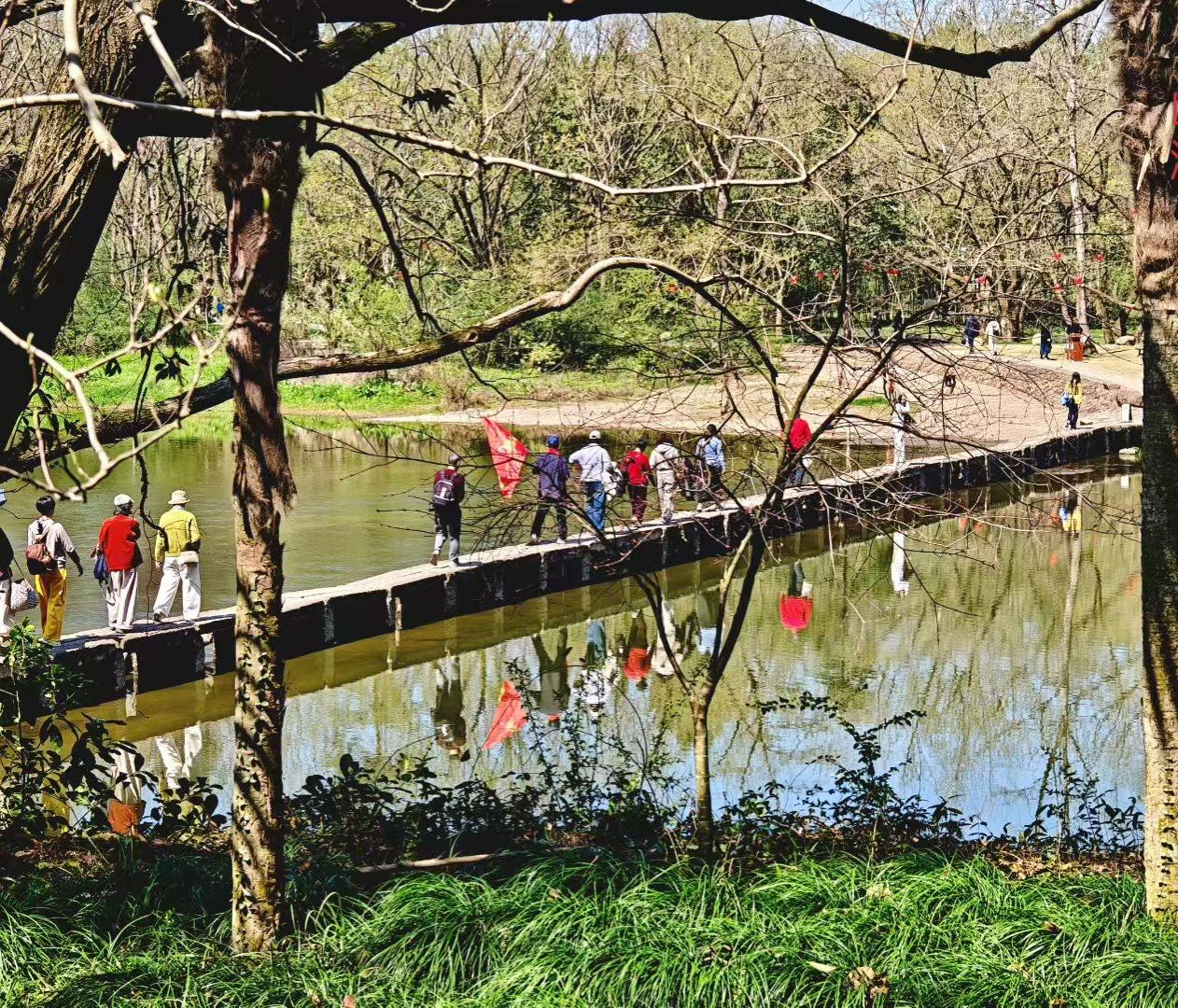 分享随手拍下的风景照春水映着树影，木桥驮着行人，红旗在风里招展，把春日的漫游，写