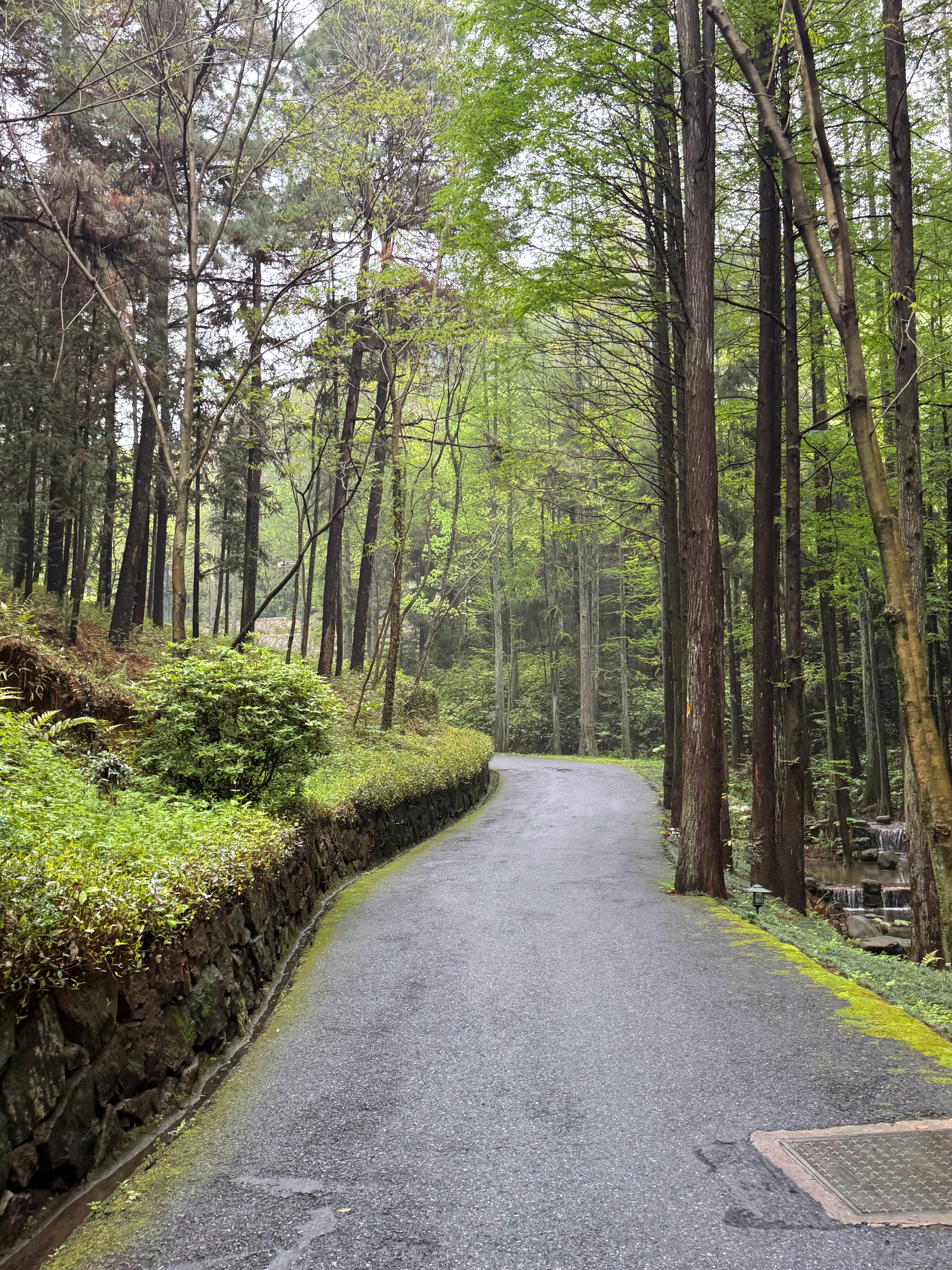 江浙沪的农村有点瑞士的感觉了🇨🇭🏎️ 