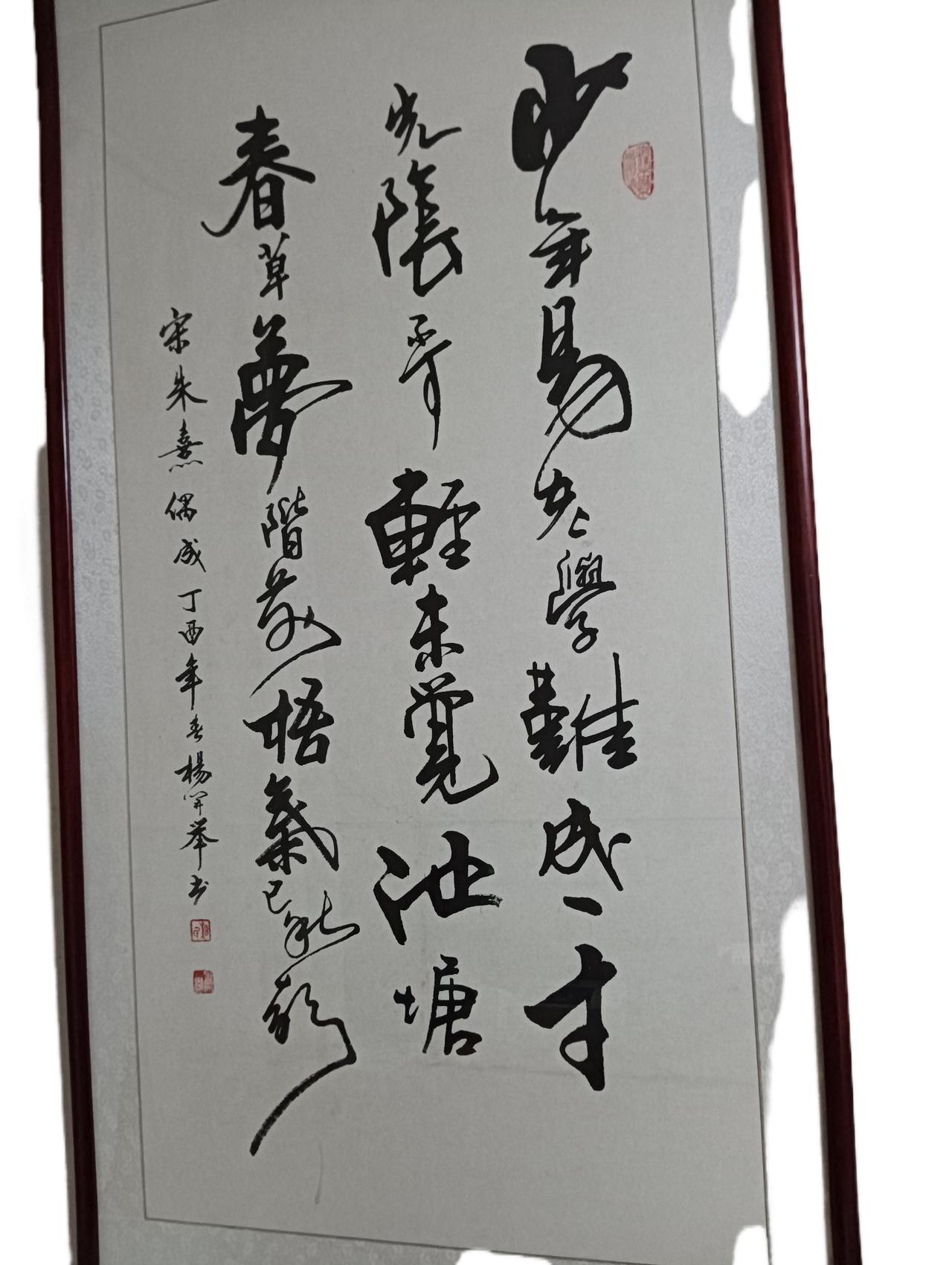 总有些道貌岸然的伪善者，宁可花钱放生污染生态环境，也不肯救助一只流浪猫流浪狗。