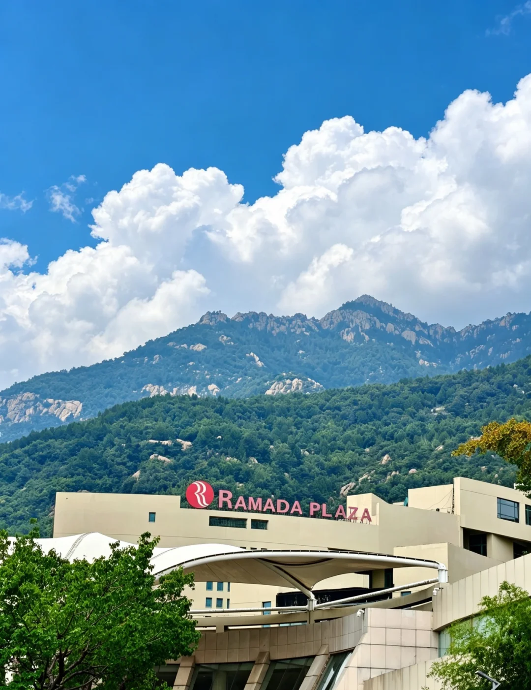 带娃爬泰山首选❗️这家亲子酒店真舍不得走