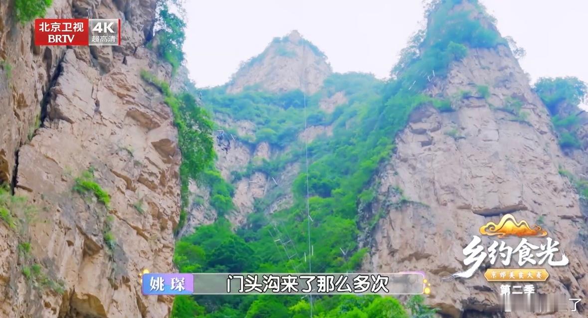姚琛把美食节目录成了披荆斩棘 从舞台上的唱跳挑战到山野里的飞拉达攀岩，姚琛的运动