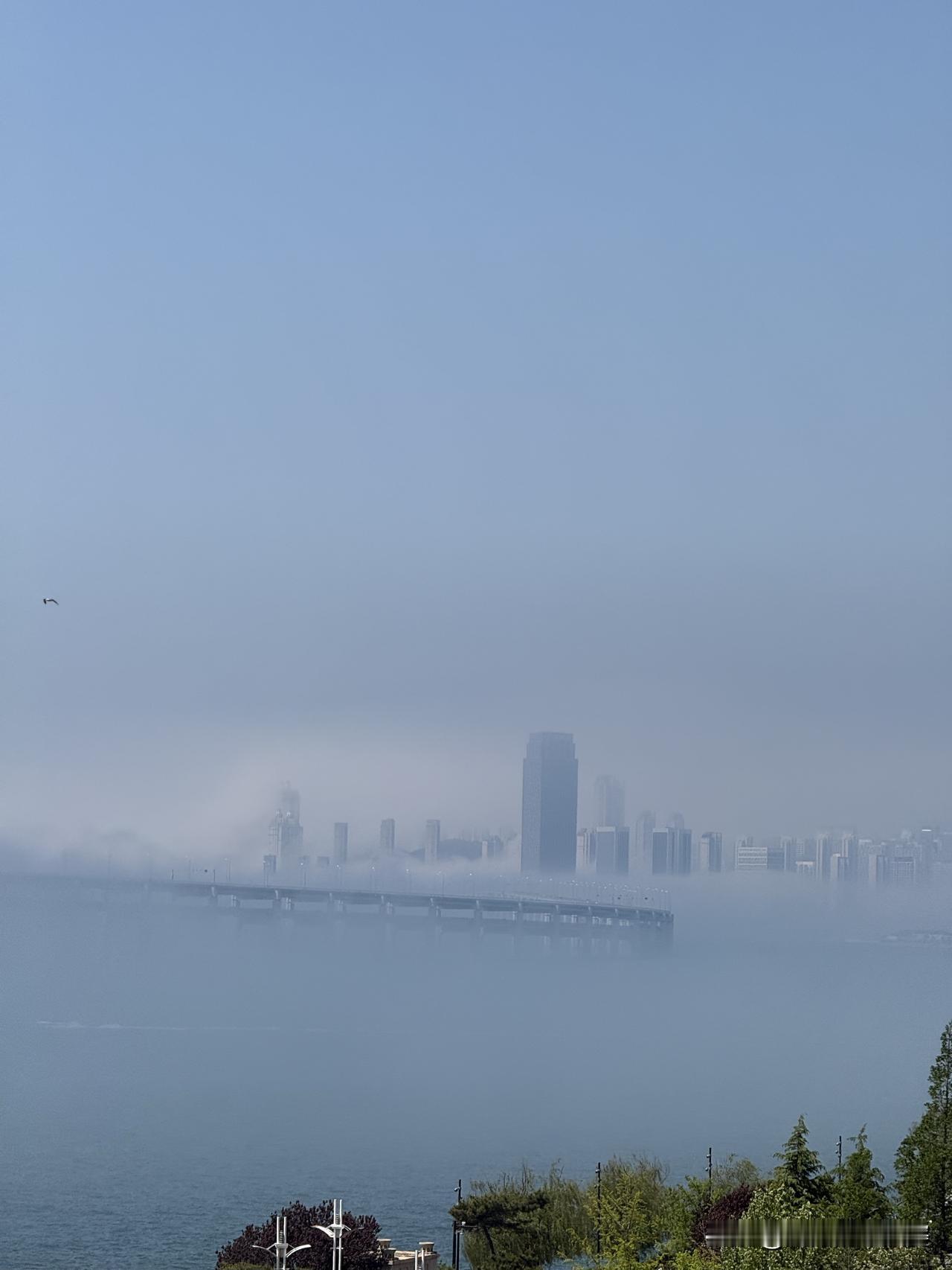 据说今天徒步的就像在仙界，大连海边的平流雾。