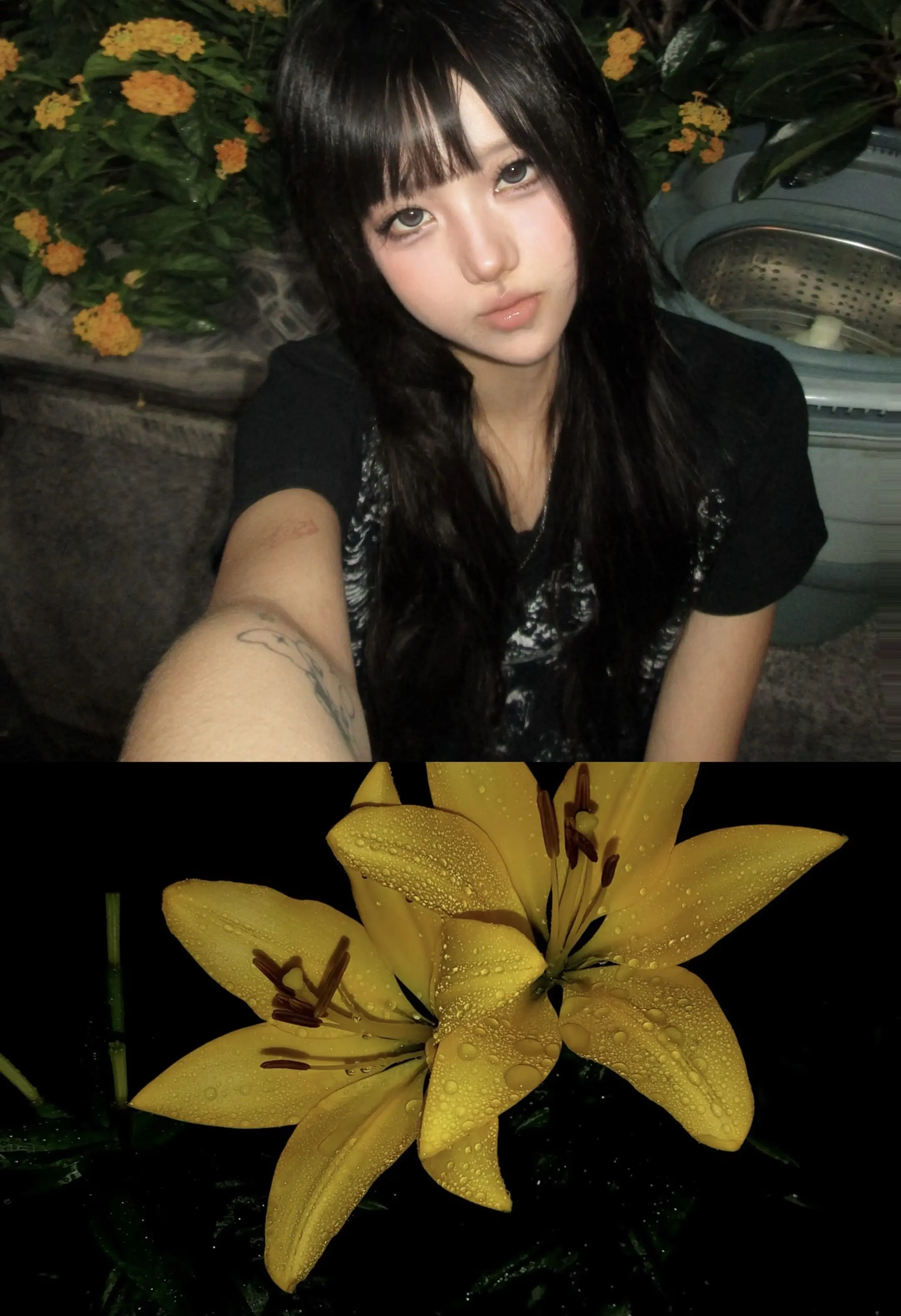 齐刘海 百合花