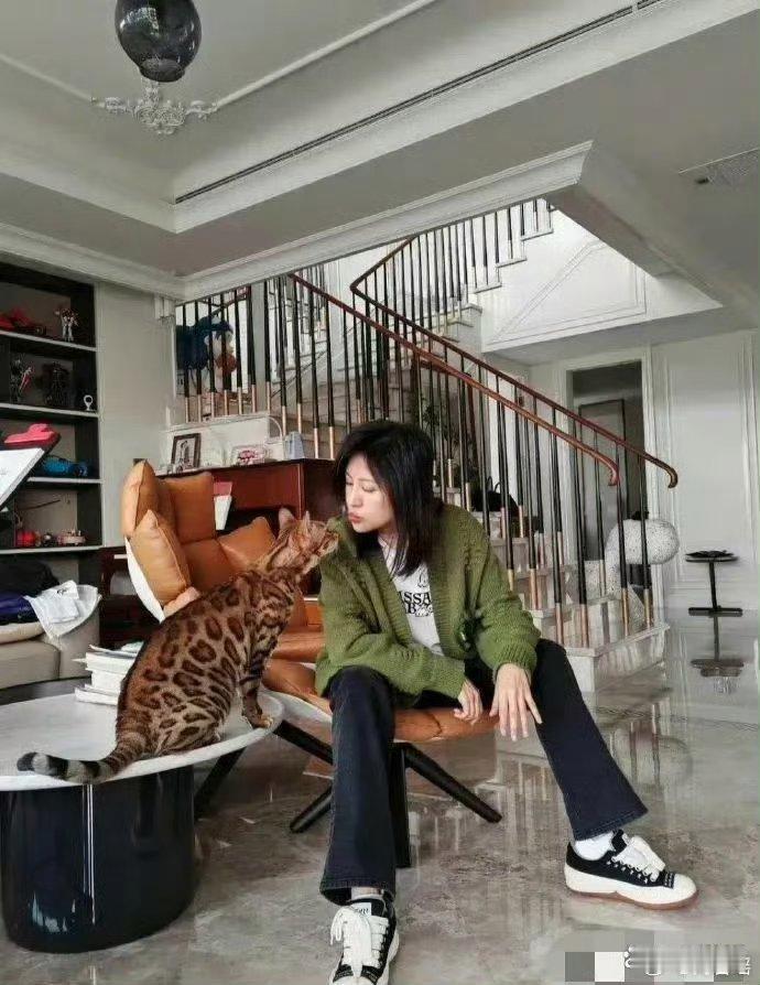 陆毅夫妇上海的豪宅曝光，有谁知道，这是什么猫吗，[疑问] 