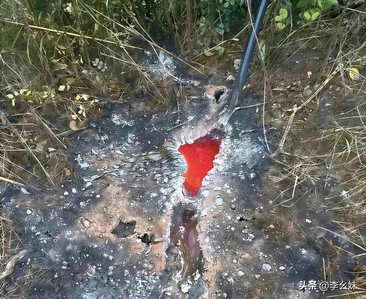 这高压电的威力也太强了