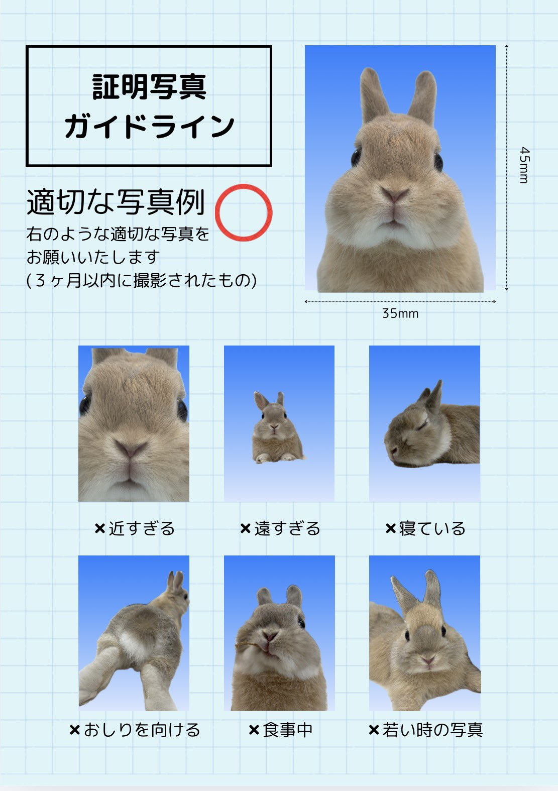 开户了 ​​​