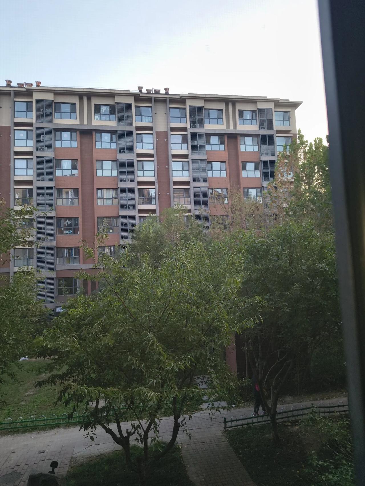 来自福建平潭的老同学夫妻俩到天津旅游，今天特意到东丽湖来看望我。
l984年，我