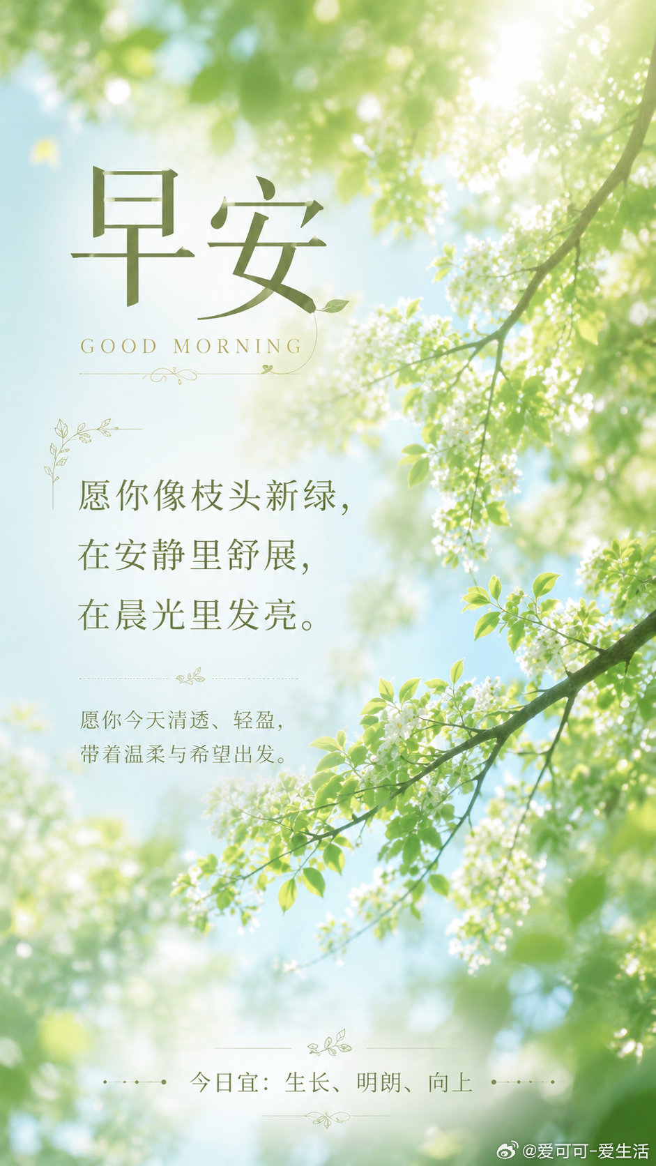 早！ 早安