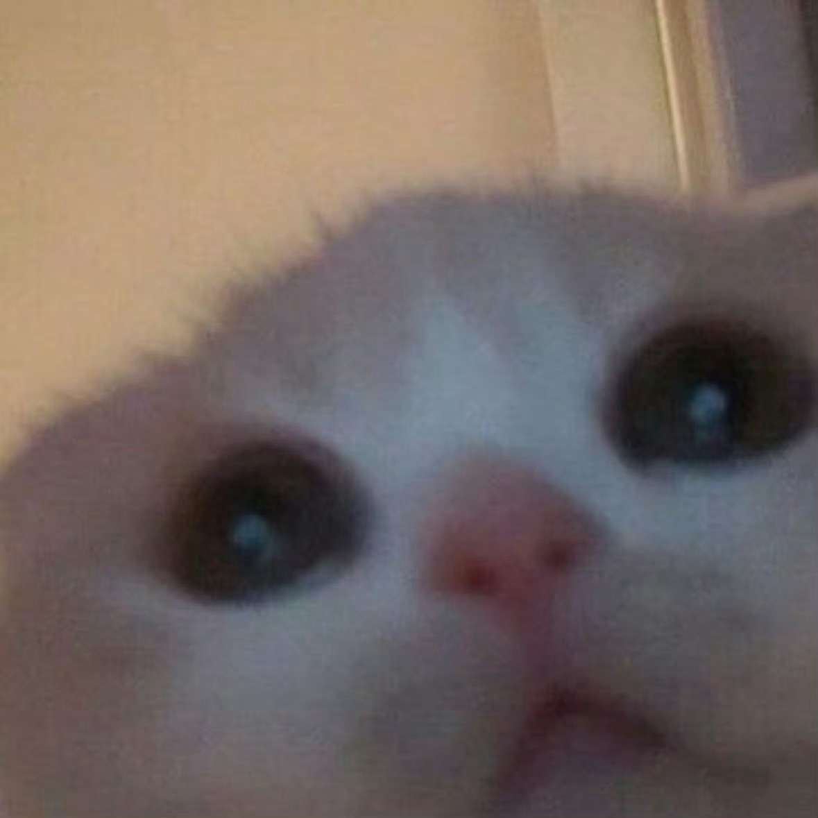 原来大家追剧前都会提前看看剧本啊 