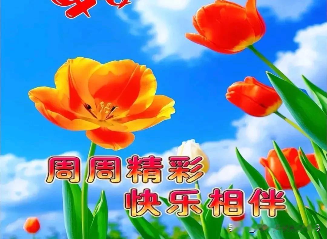 友友佳作好经典，
生动流畅文采飞；
妙笔生花好诗篇，
佩服赞叹在内心。