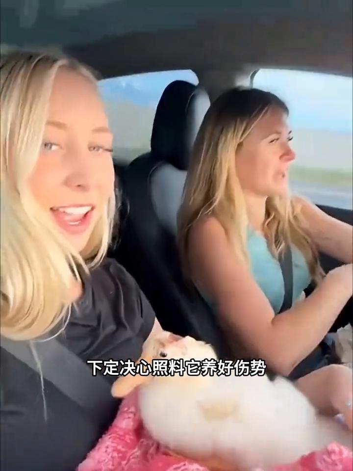 长期被群鸭欺凌。
这只鸭子为何总被同伴欺负？长久以来它只能默默承受苦楚，直到一位