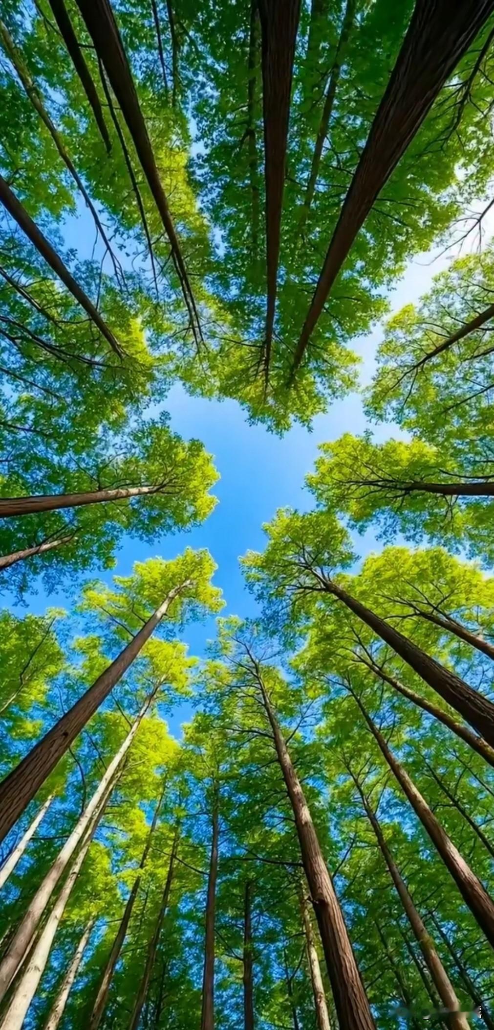 年龄不毕业，快乐不退休，
幸福不衰老，健康不刹车，
心态不设限，生活不褪色，
每